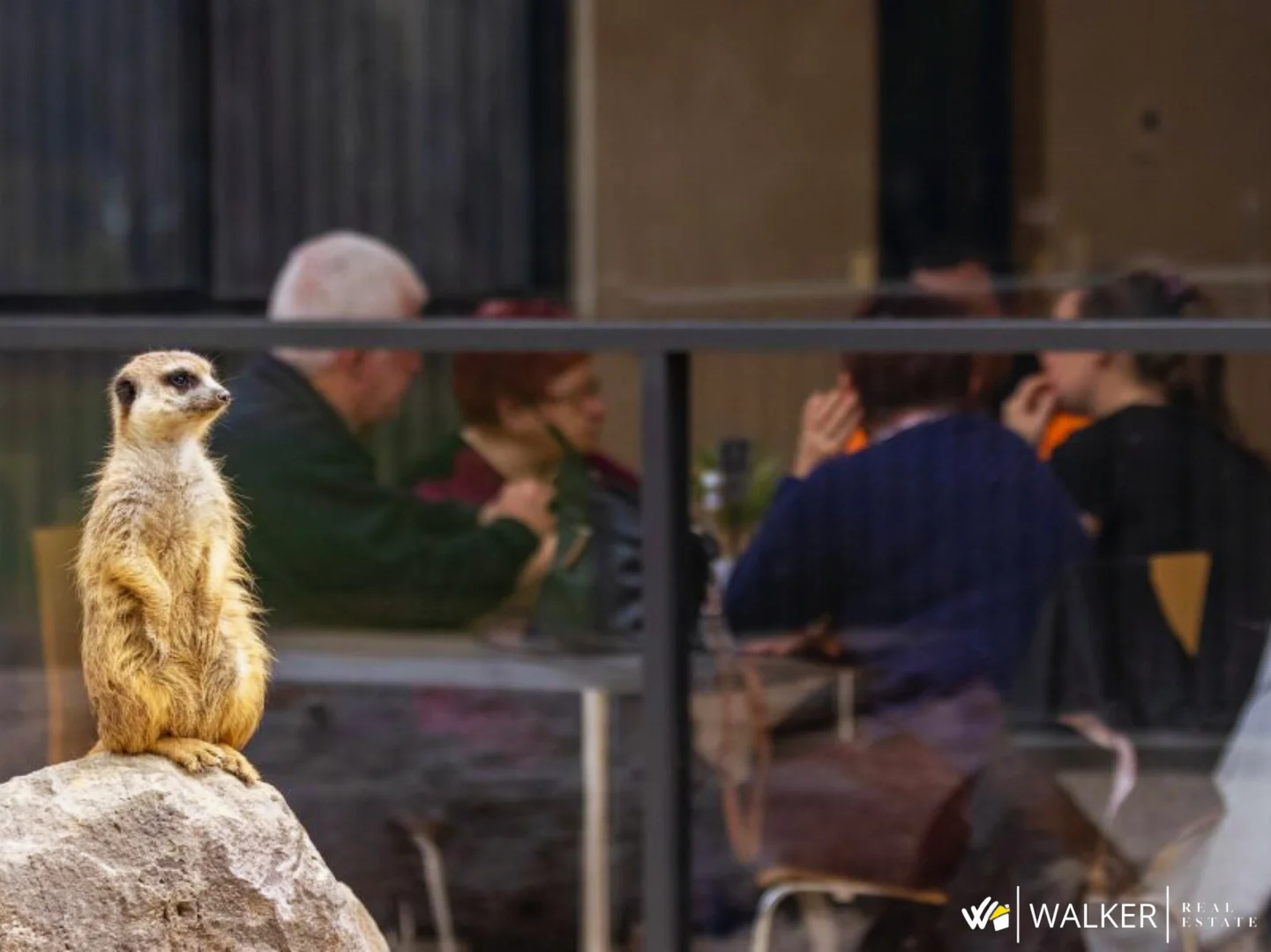 Additional image 11 of 1 Curyo Way, Kyabram VIC 3620