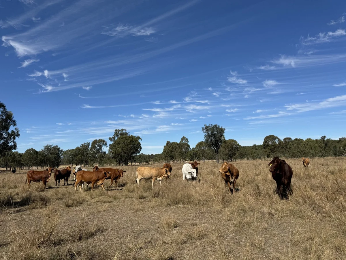 Additional image 4 of 25731 Burnett Highway, Cynthia QLD 4627