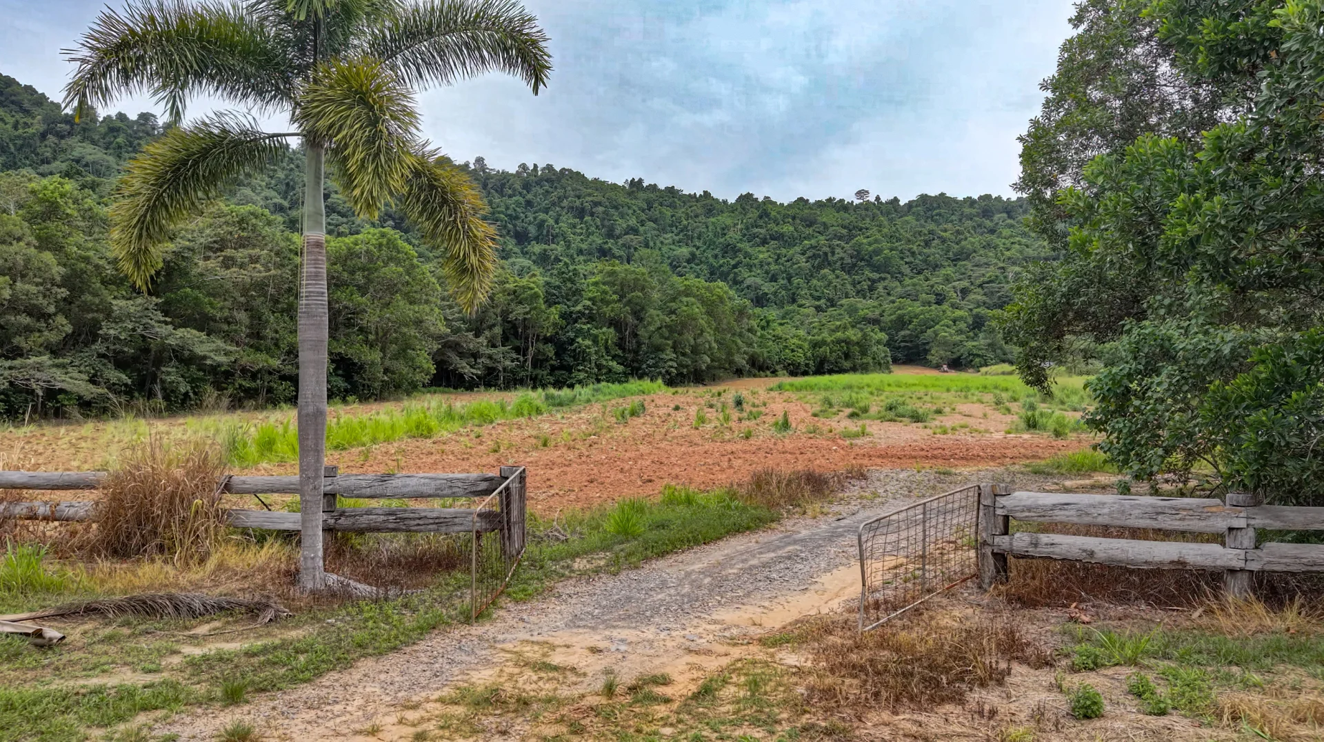 Additional image 12 of Lot 299 Bruce Highway, Friday Pocket QLD 4855