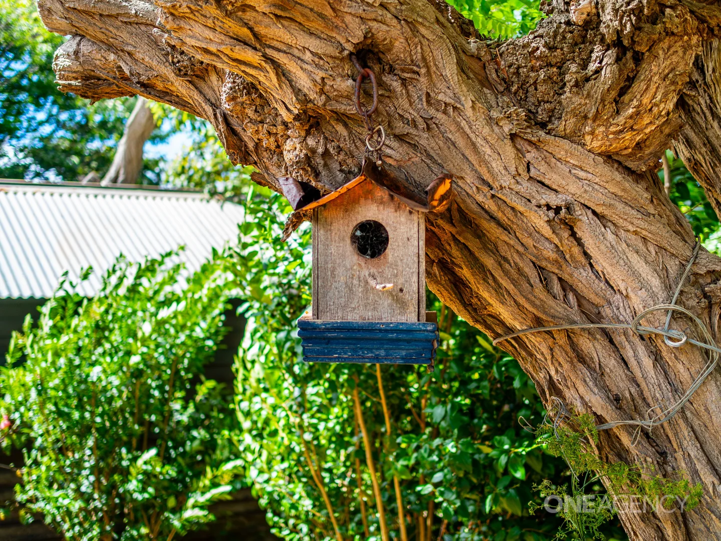 Additional image 28 of 10 Walmsleys Road, Cuprona TAS 7316