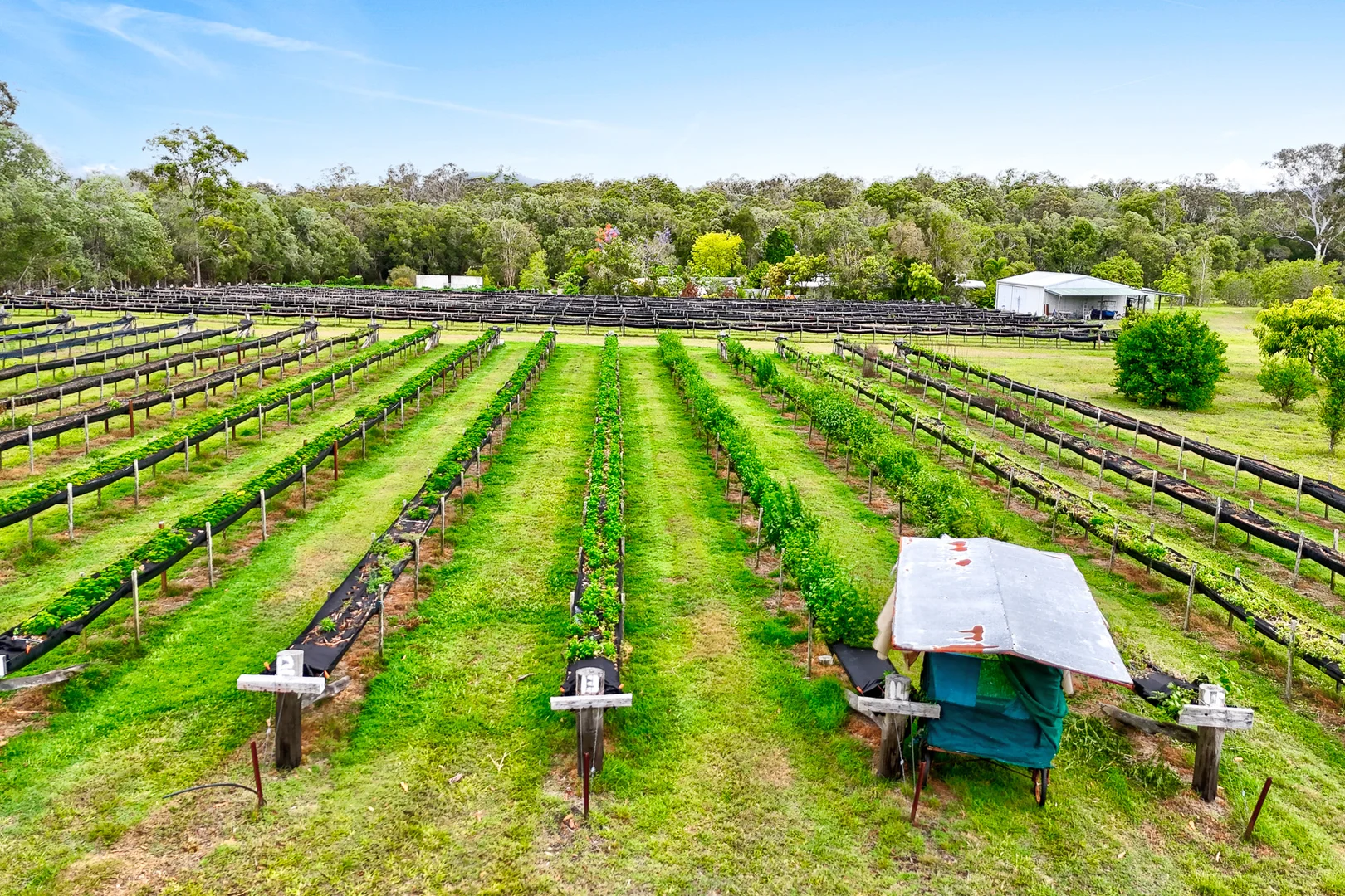 Additional image 31 of 197 Stephan Road, Goomboorian QLD 4570