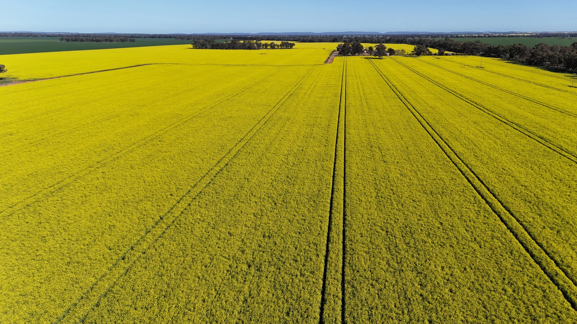 Additional image 13 of 349 Warregal Road, Parkes NSW 2870