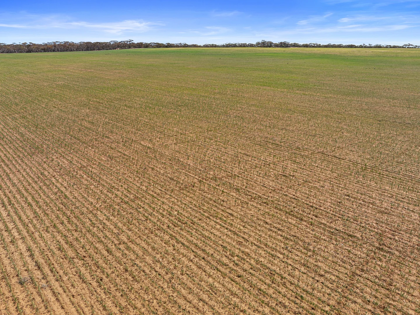 Additional image 20 of 1719 New Well Centre Road, New Well SA 5357