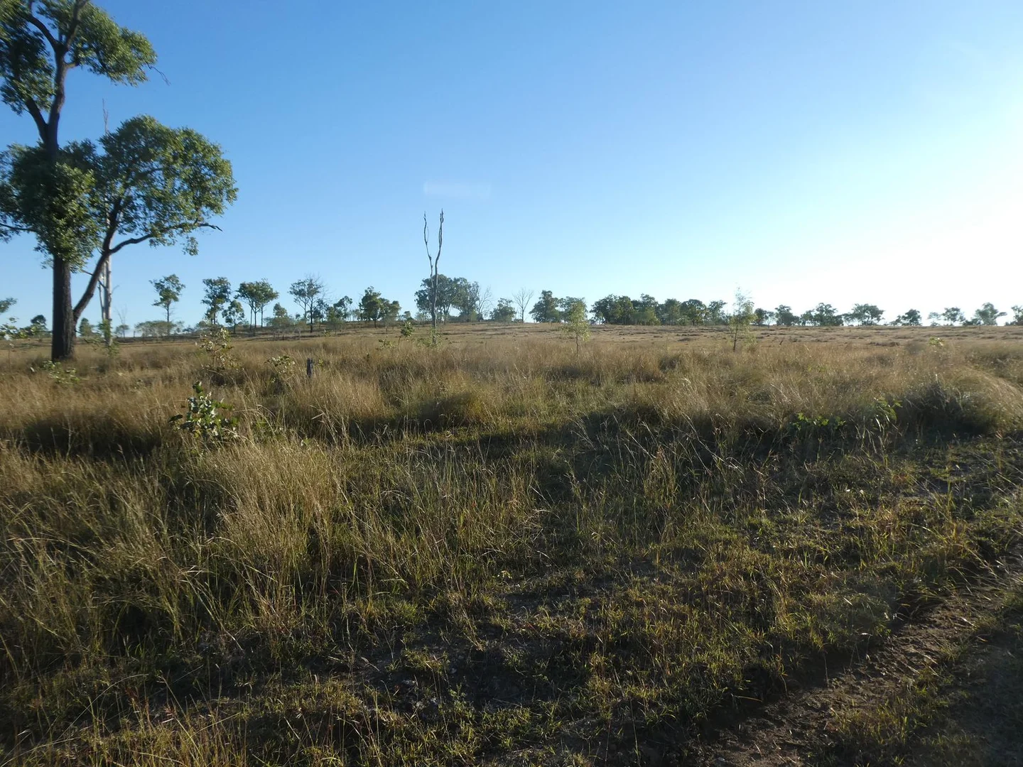 Additional image 28 of Lot 24 Gayndah Mount Perry Road, Mount Steadman QLD 4625