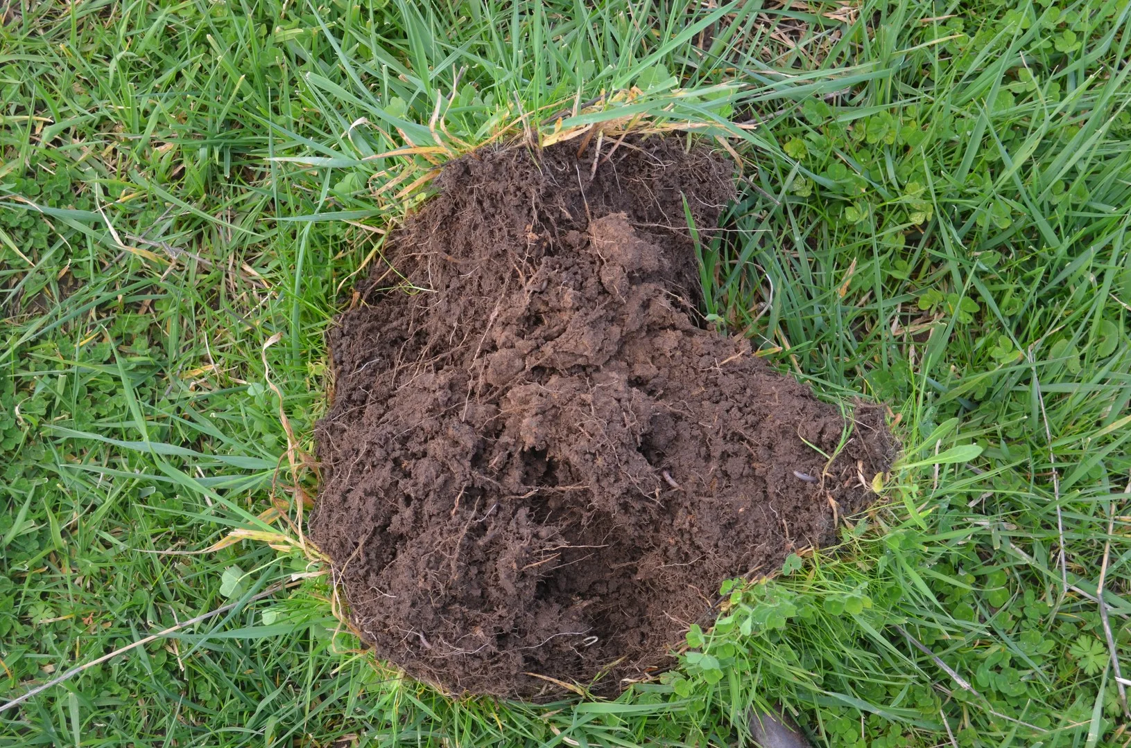 1805 Manga Road, Kalangadoo SA 5278