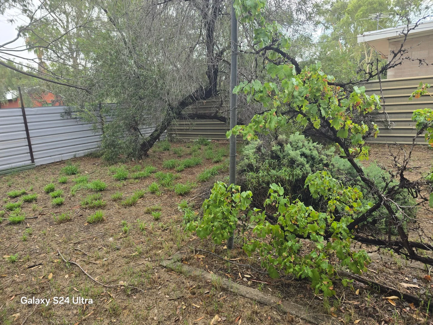 Additional image 18 of East Side NT 0870