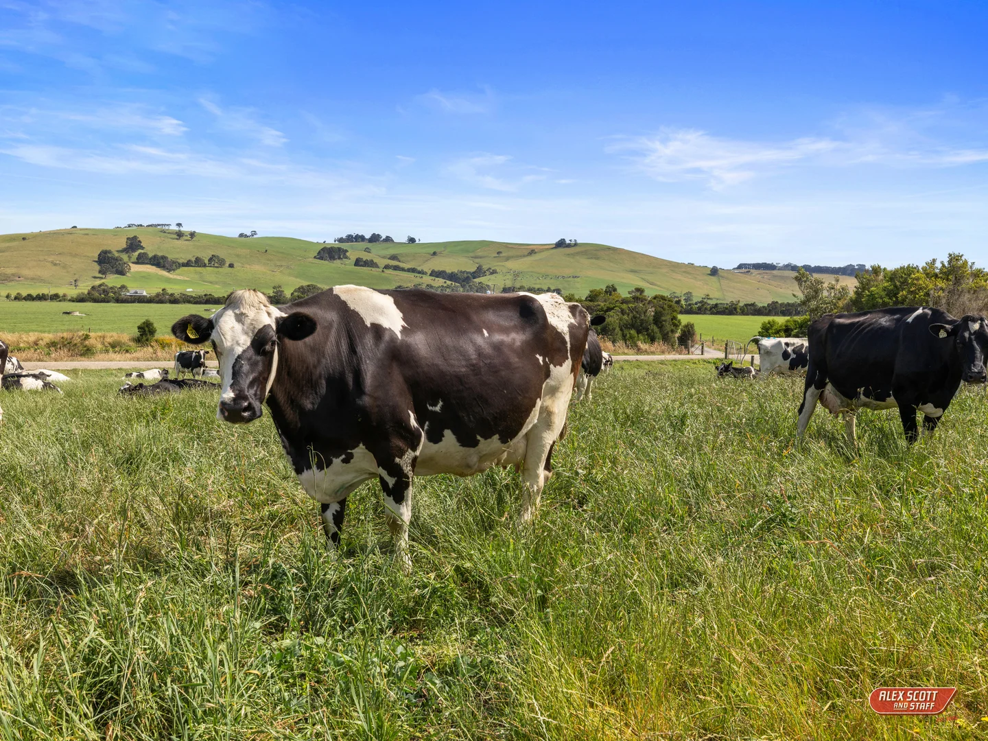 Additional image 27 of 765 Korumburra South Road, Korumburra South VIC 3950