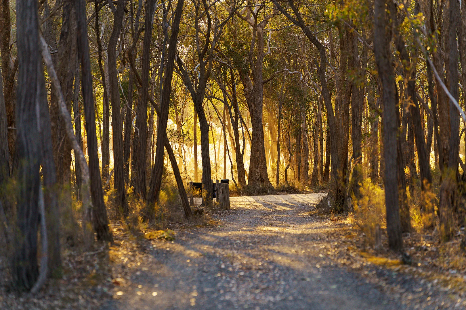 Additional image 19 of 141 Sinclairs Lane, Walmer VIC 3463