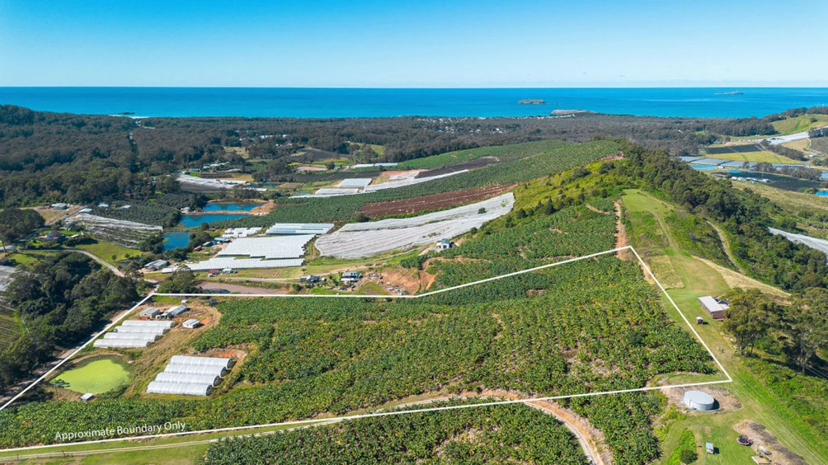 Additional image 13 of 20 Puhos Road, Sandy Beach NSW 2456