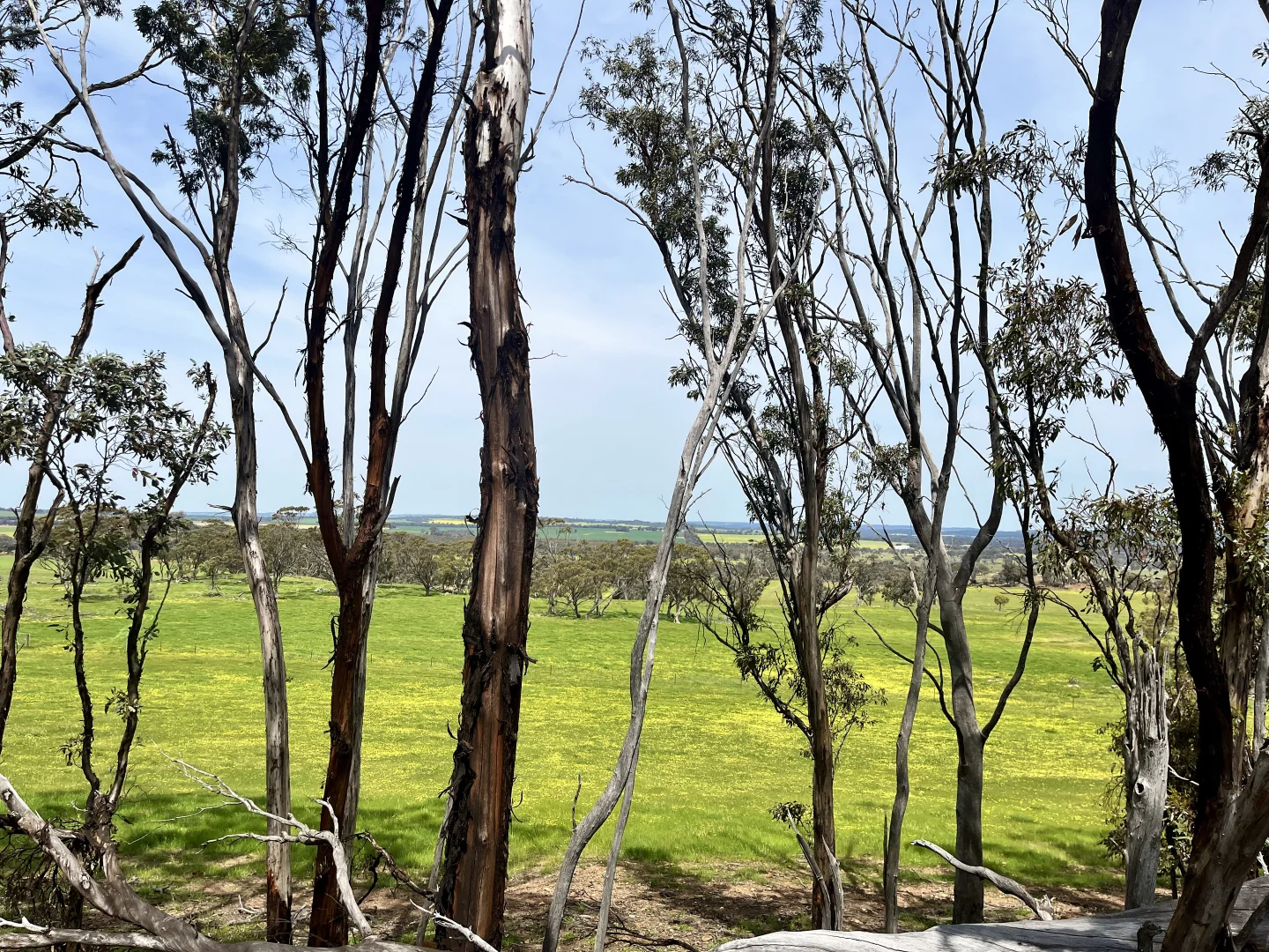 Additional image 28 of 547 Bunmulling Road, Popanyinning WA 6309