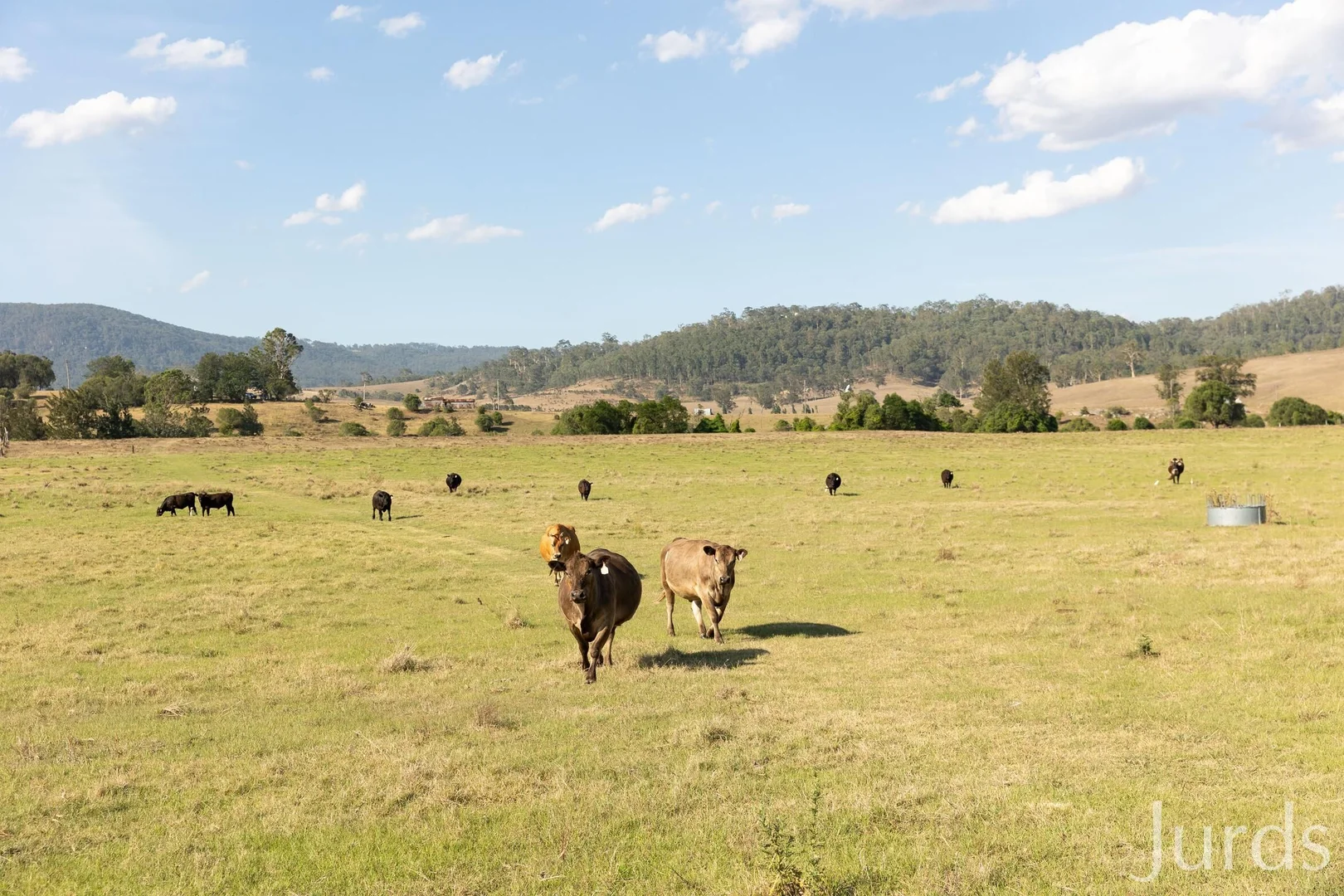 Additional image 19 of 232C Fernhill Road, Dalwood NSW 2335