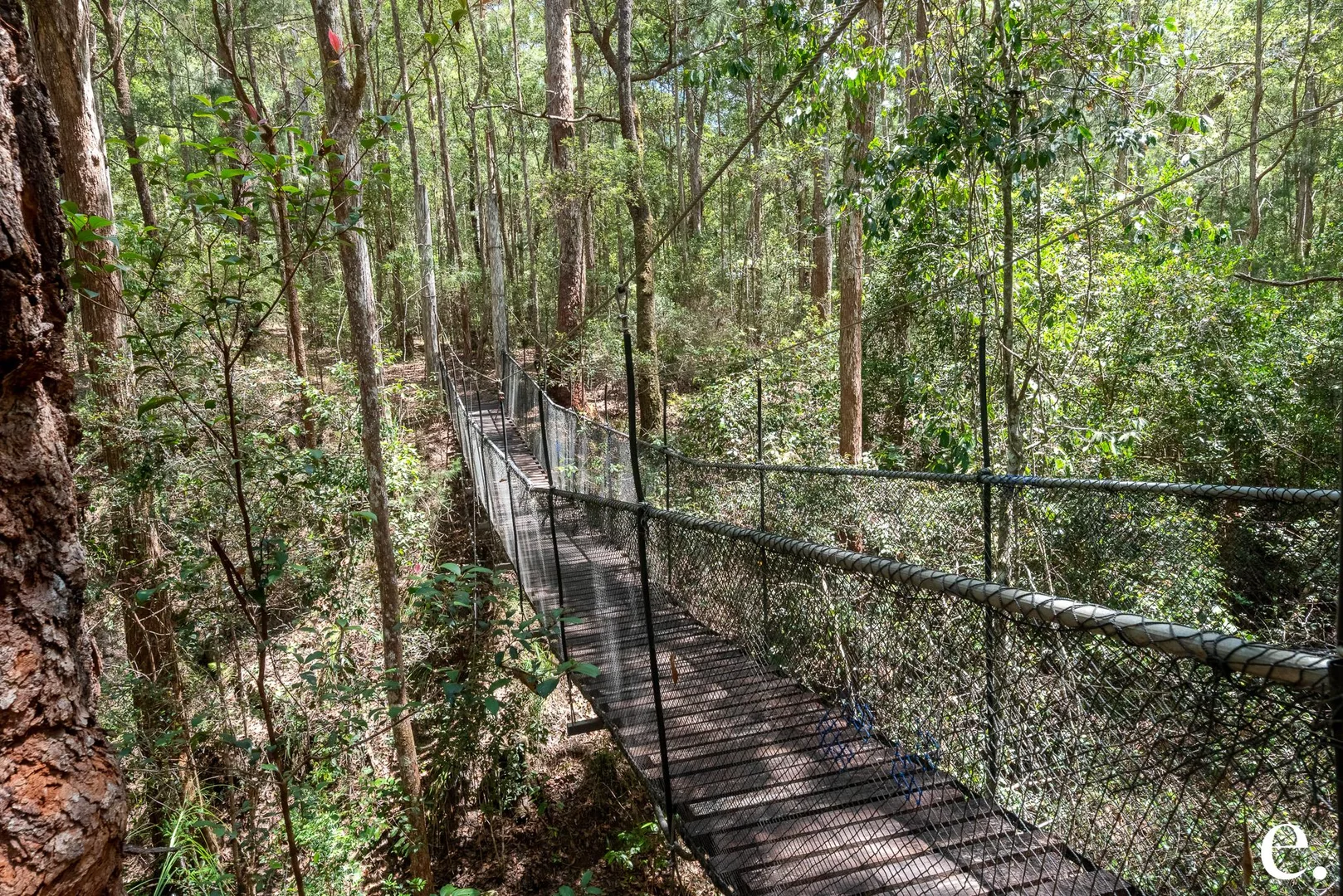 Additional image 19 of 136 Webster Road, Wondecla QLD 4887