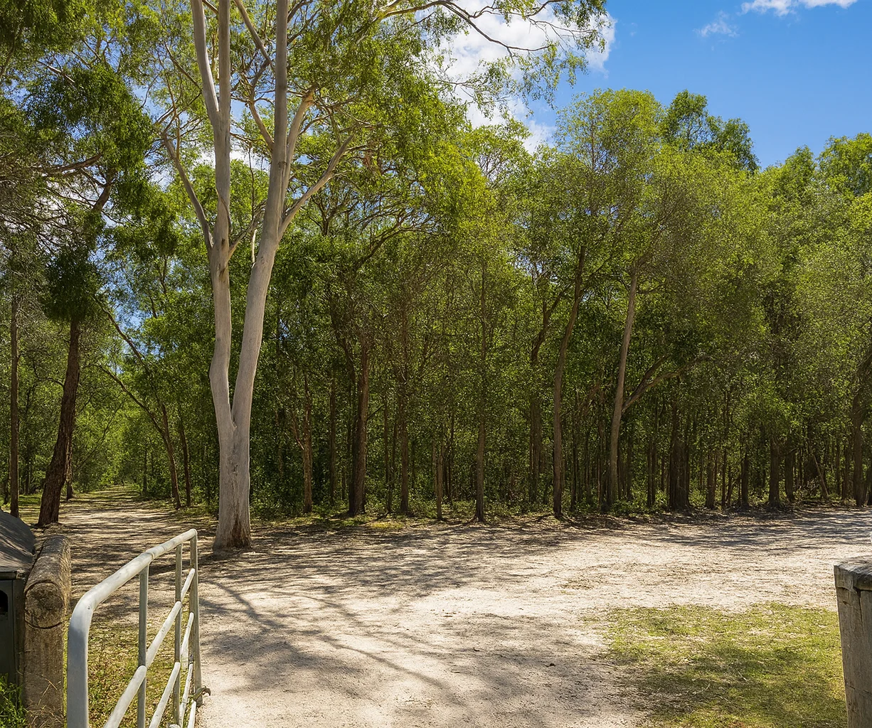 Additional image 8 of 157 Maximillian Road, Noosa North Shore QLD 4565