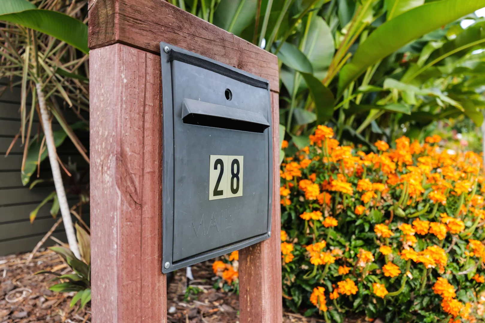 Additional image 28 of 28 Terebra Street, Palm Cove QLD 4879