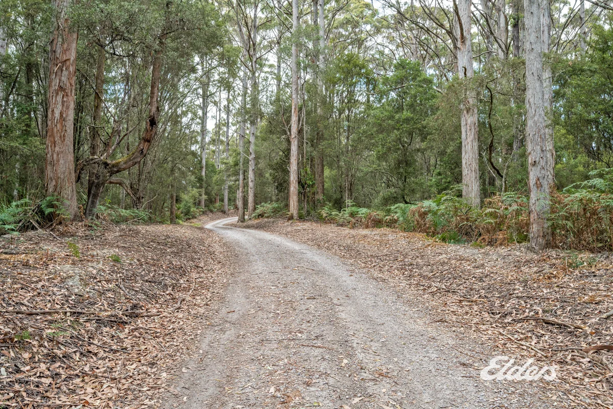 Additional image 18 of Faheys Lane, Irishtown TAS 7330