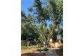 Additional image 45 of 6814 San Dimas Ct, Citrus Heights, CA, 95621