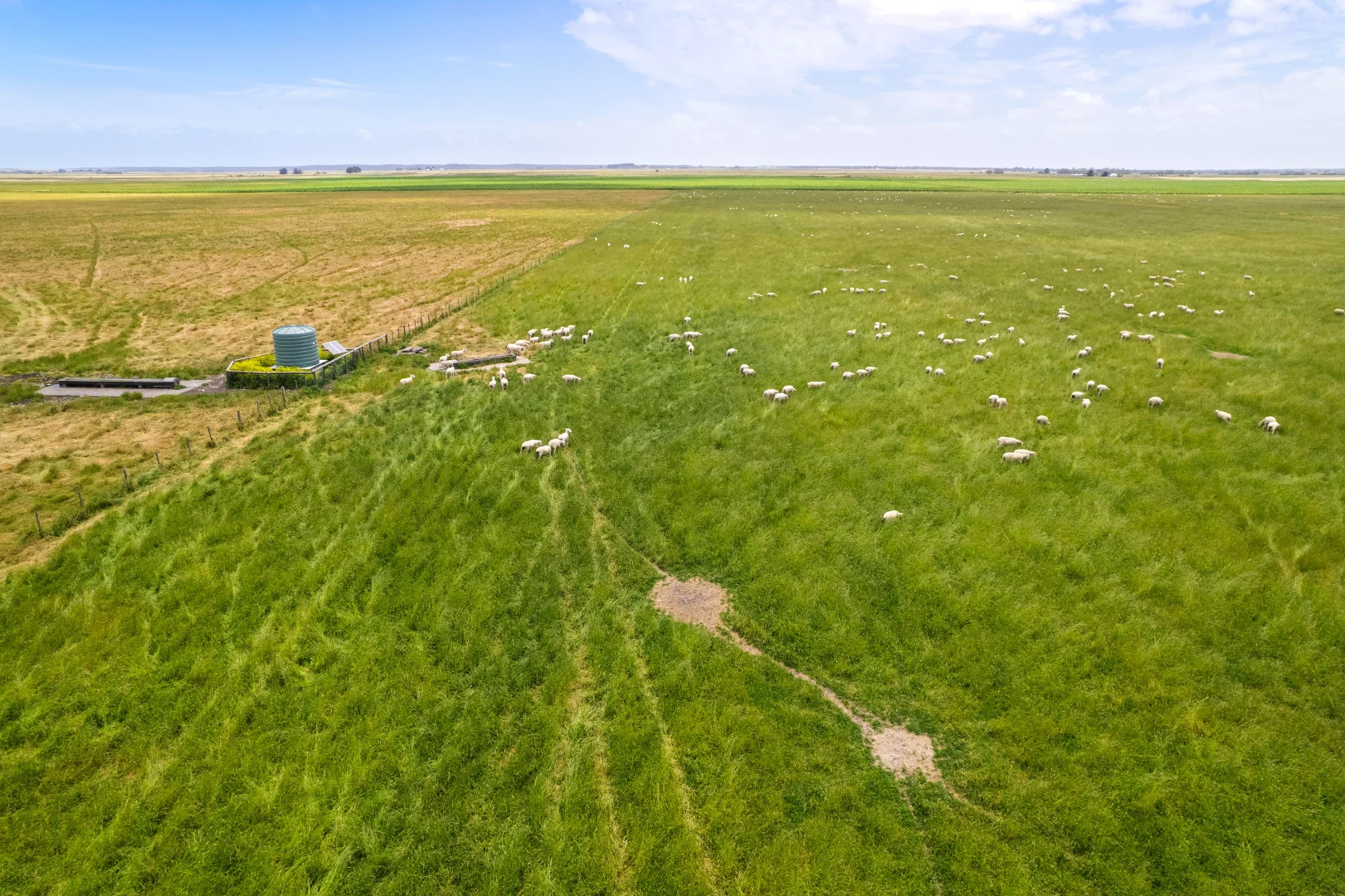 Additional image 5 of Lot 55 Princes Highway, Millicent SA 5280