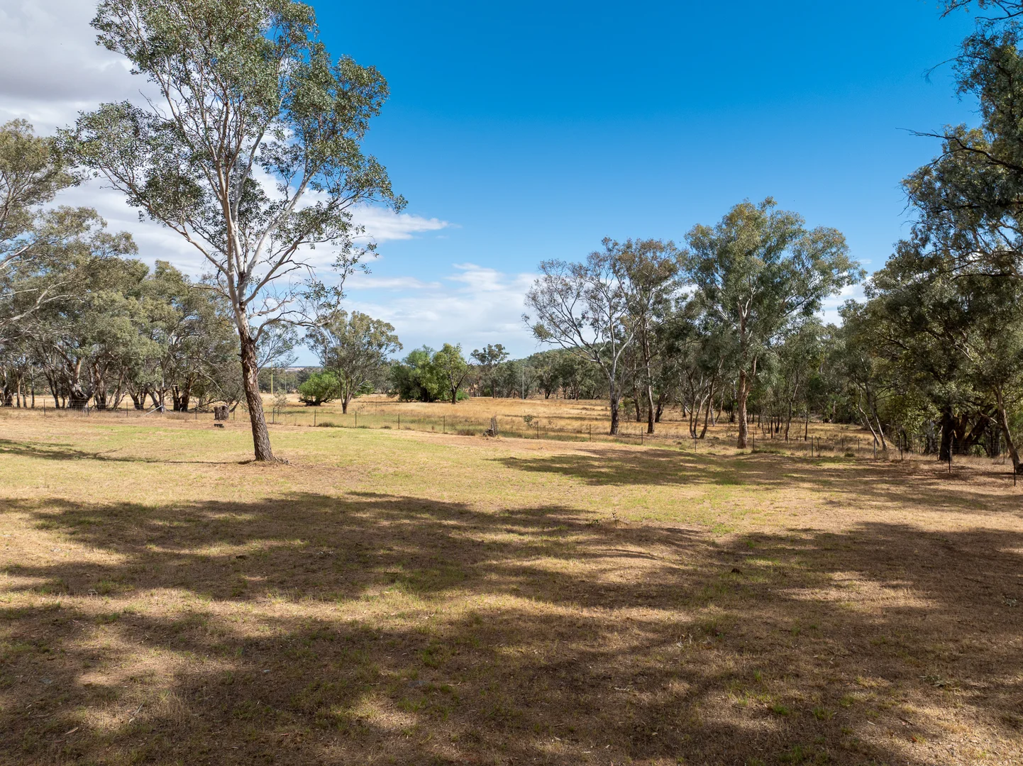 Additional image 6 of 328 Pinecliffe Road, Molong NSW 2866