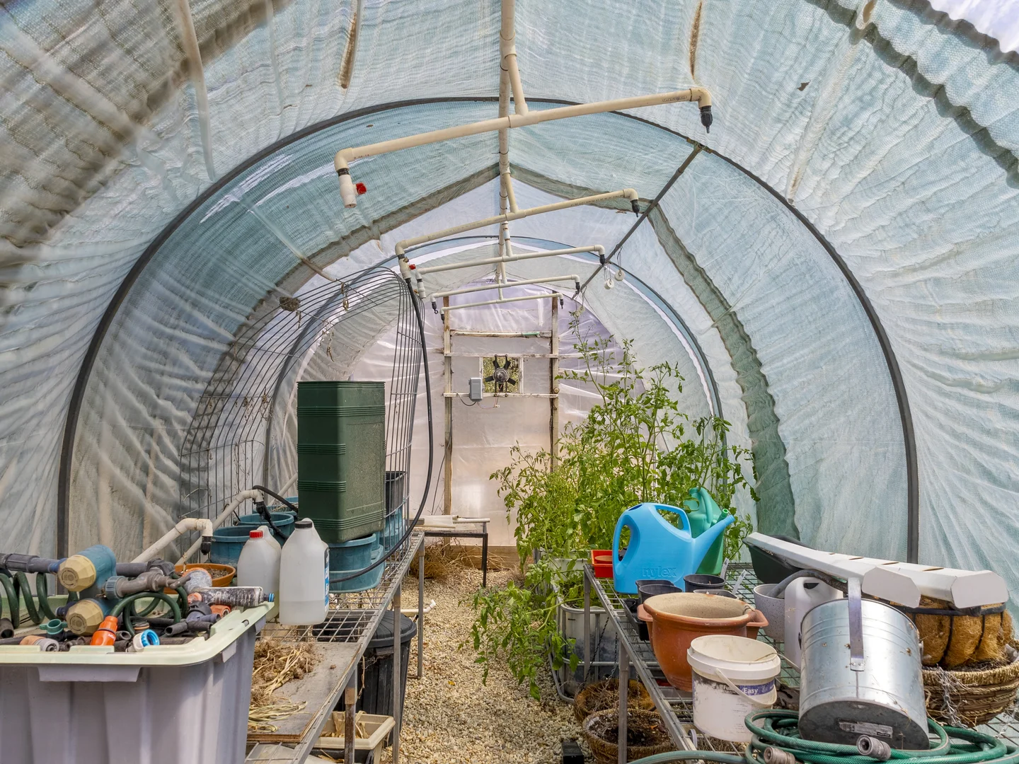 Additional image 41 of 4572 Murray Valley Highway, Rutherglen VIC 3685