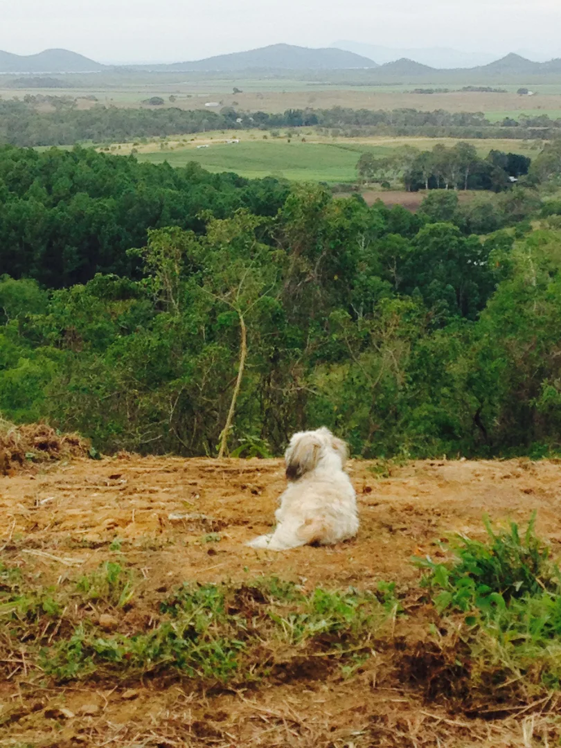 Additional image 2 of 1243 Yakapari-Seaforth Road, Mount Jukes QLD 4740