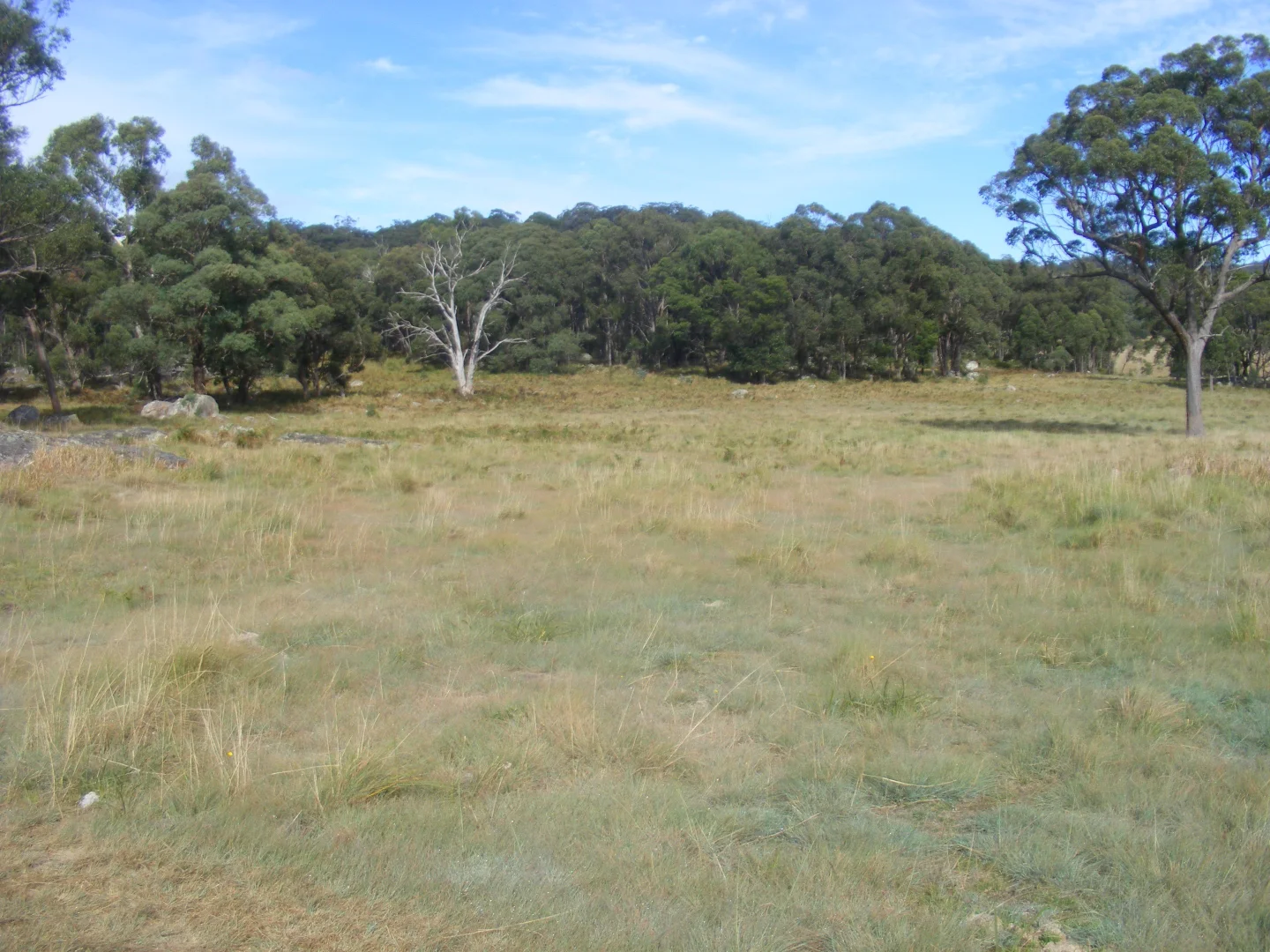 Additional image 15 of 618 Coopers Road, Red Range NSW 2370