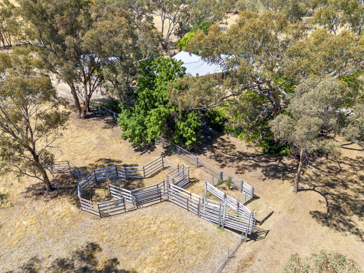 Additional image 26 of 4572 Murray Valley Highway, Rutherglen VIC 3685