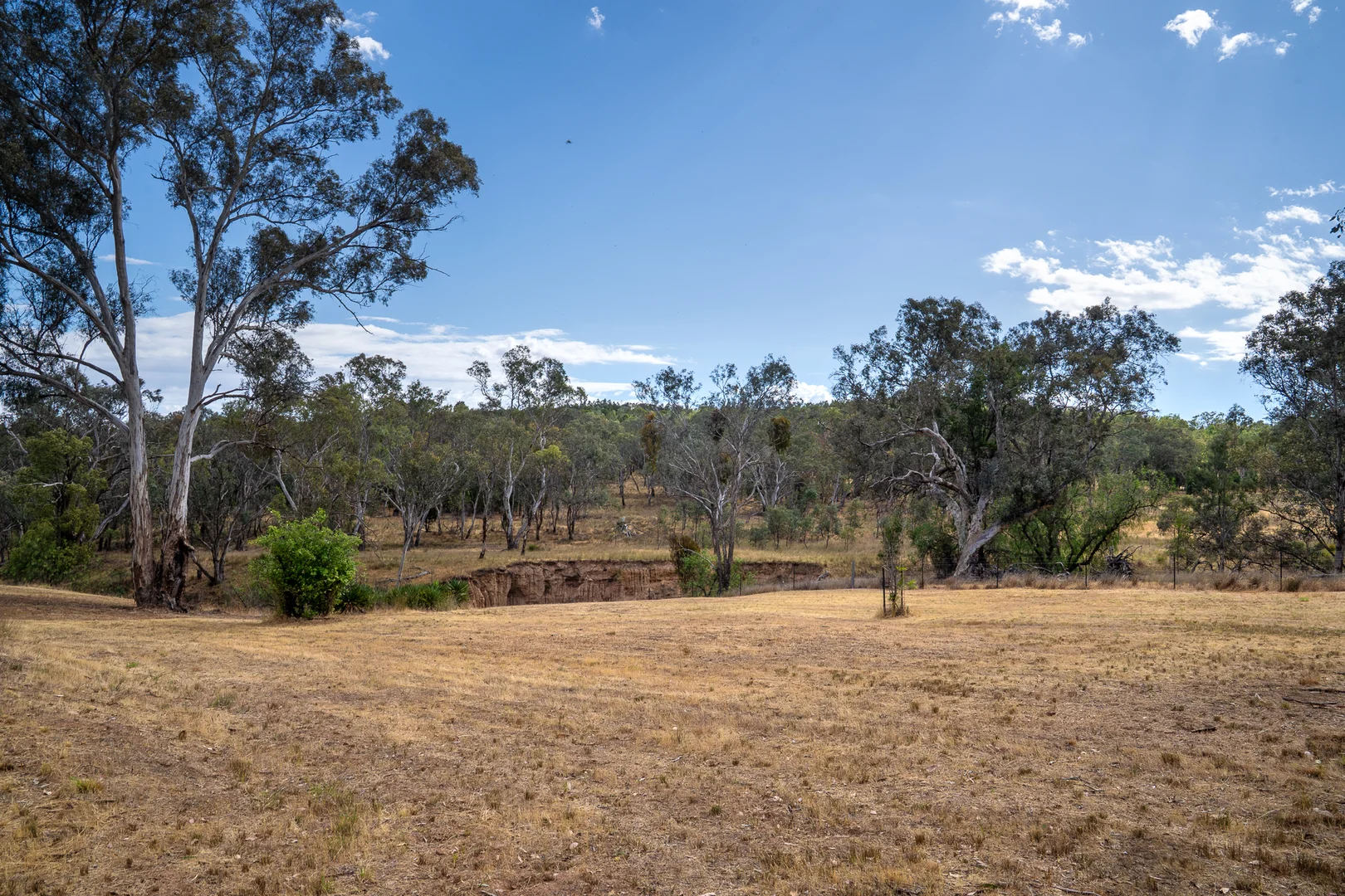 Additional image 5 of 328 Pinecliffe Road, Molong NSW 2866