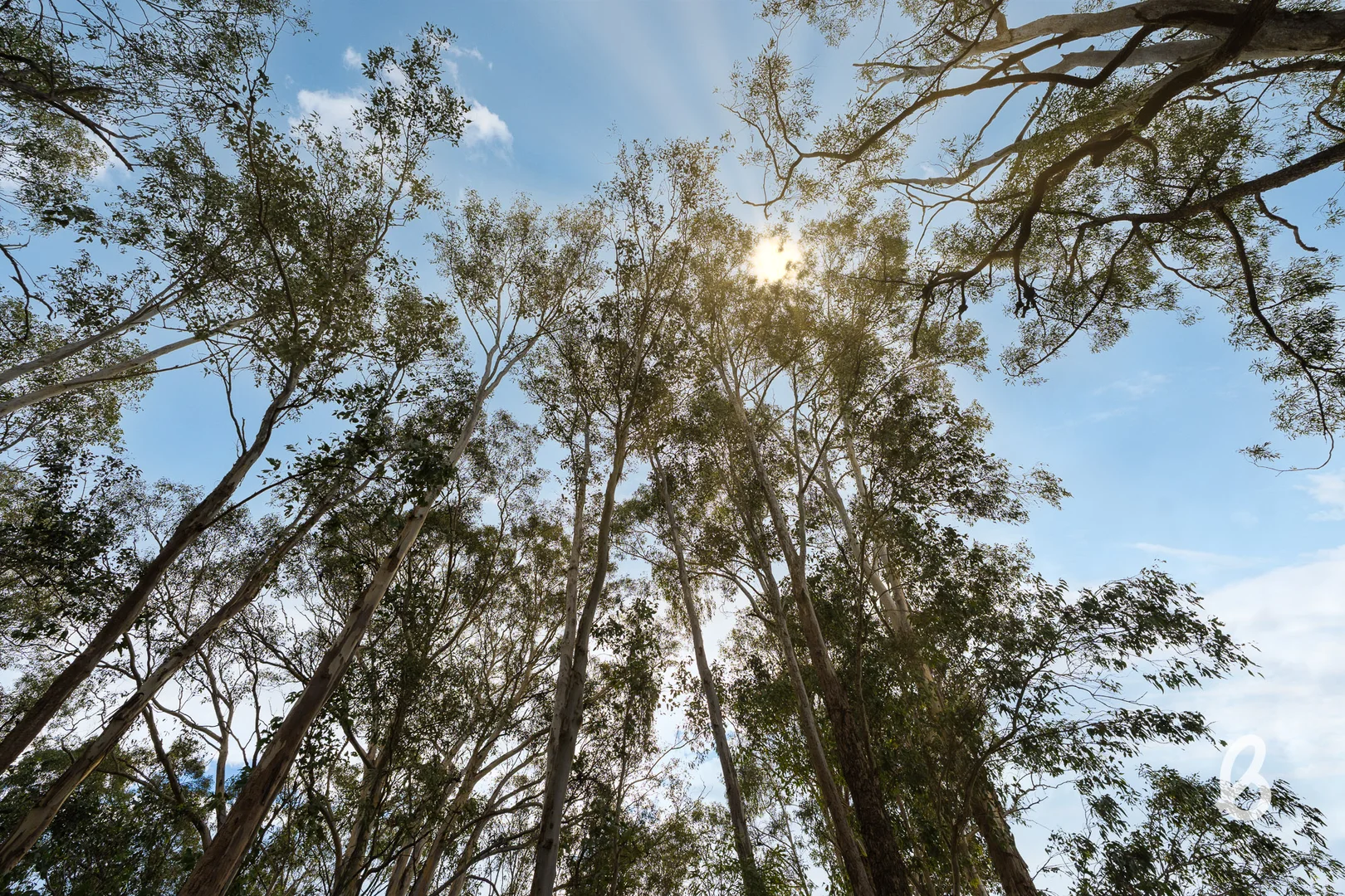 Additional image 7 of 2092 Putty Road, Bulga NSW 2330