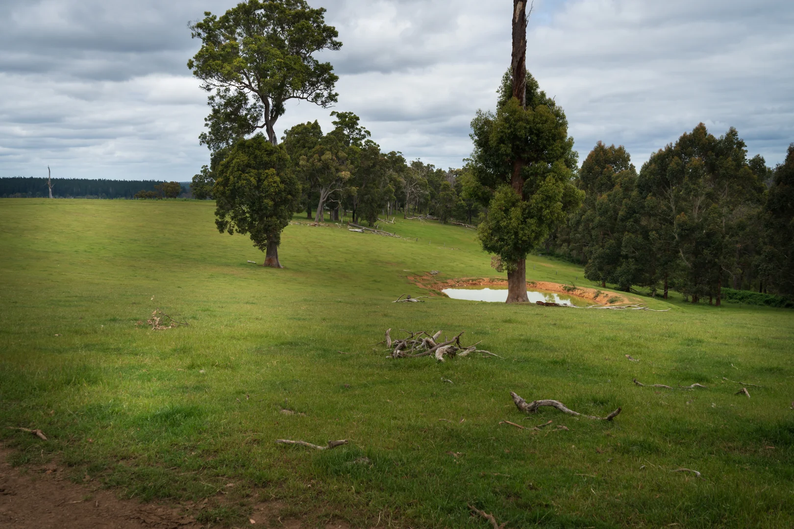 Additional image 4 of Lot 4 Kammann Road (Upper Warren), Manjimup WA 6258