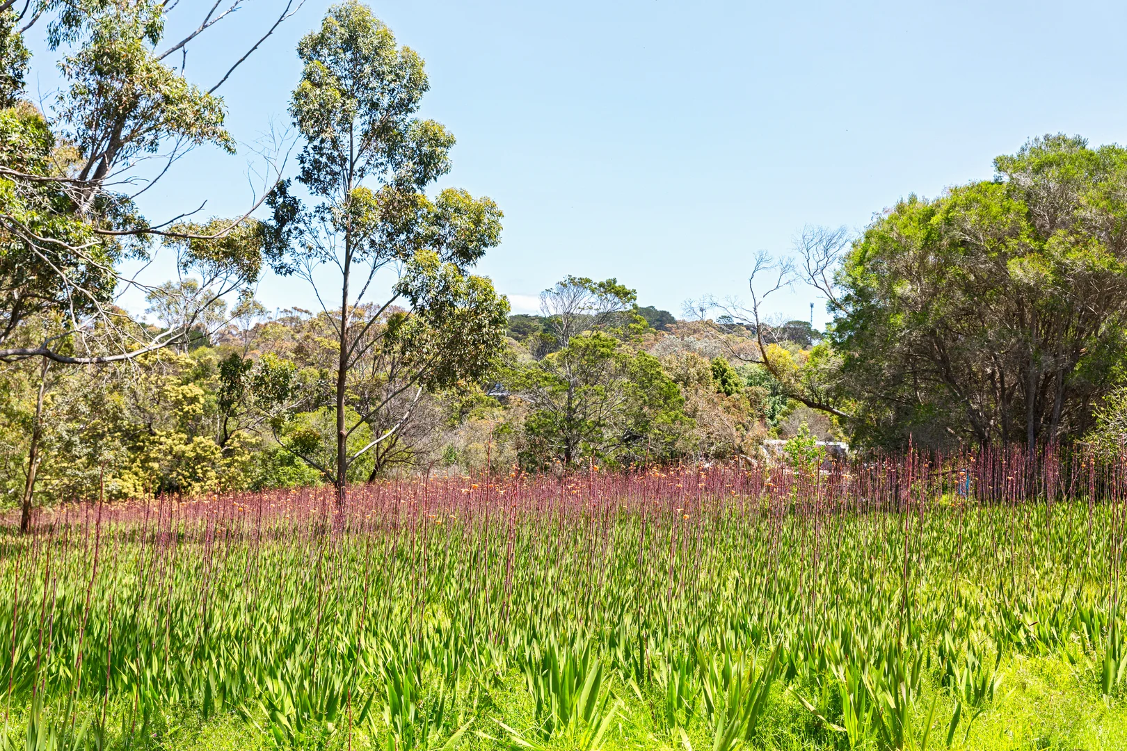 Additional image 3 of 26 Rest Drive, Flinders VIC 3929