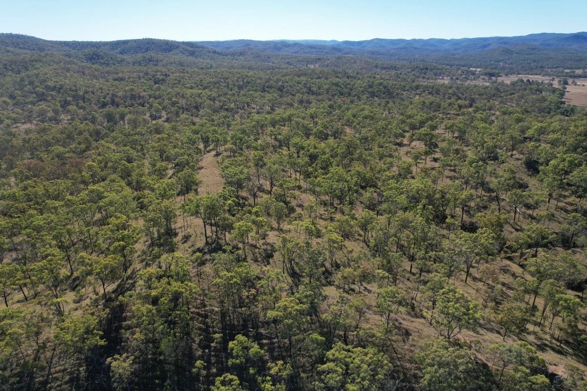 Additional image 26 of 186 Mungungo Creek Road, Monto QLD 4630