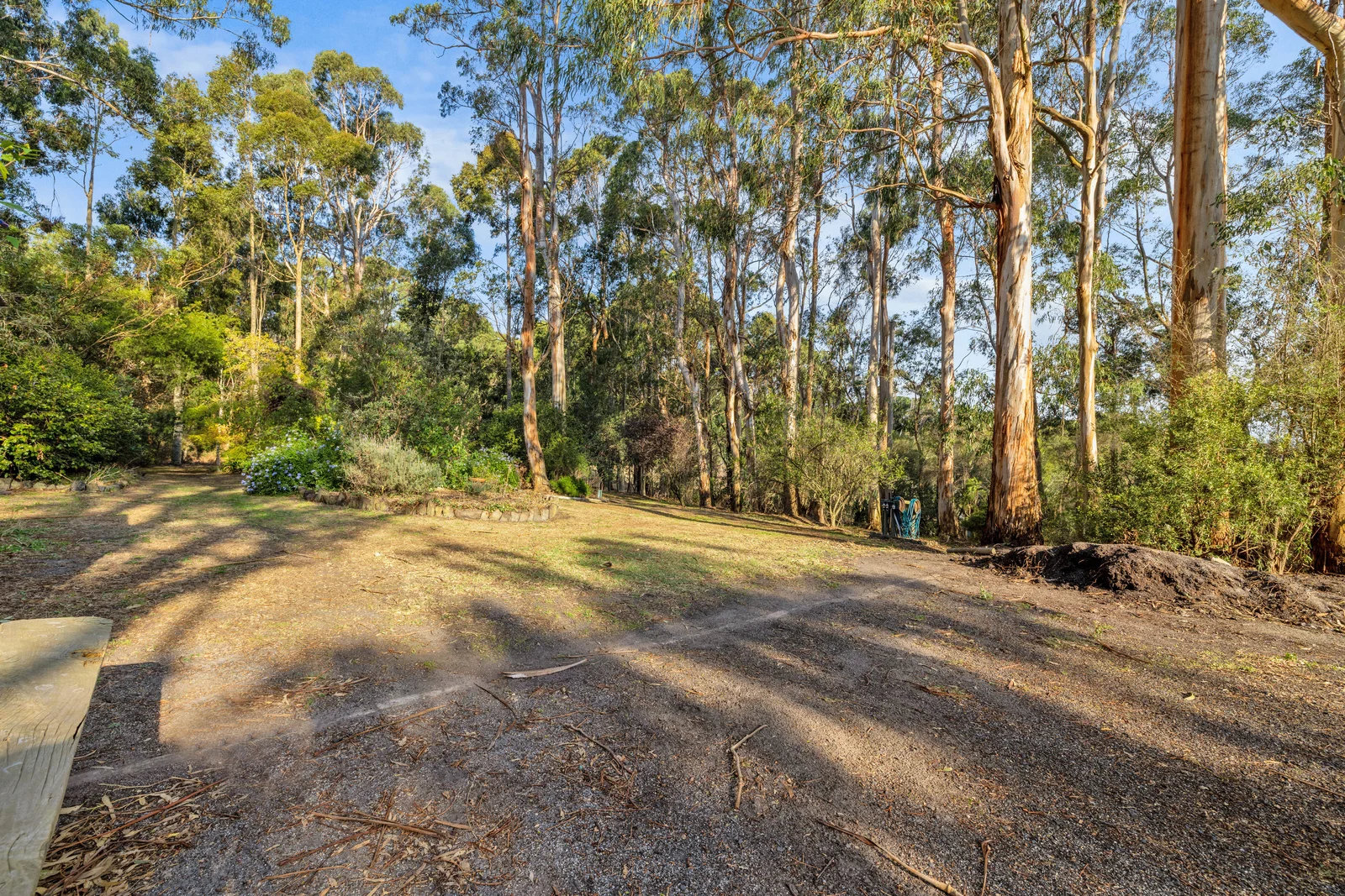 Additional image 19 of 405 Leongatha North Road, Leongatha North VIC 3953
