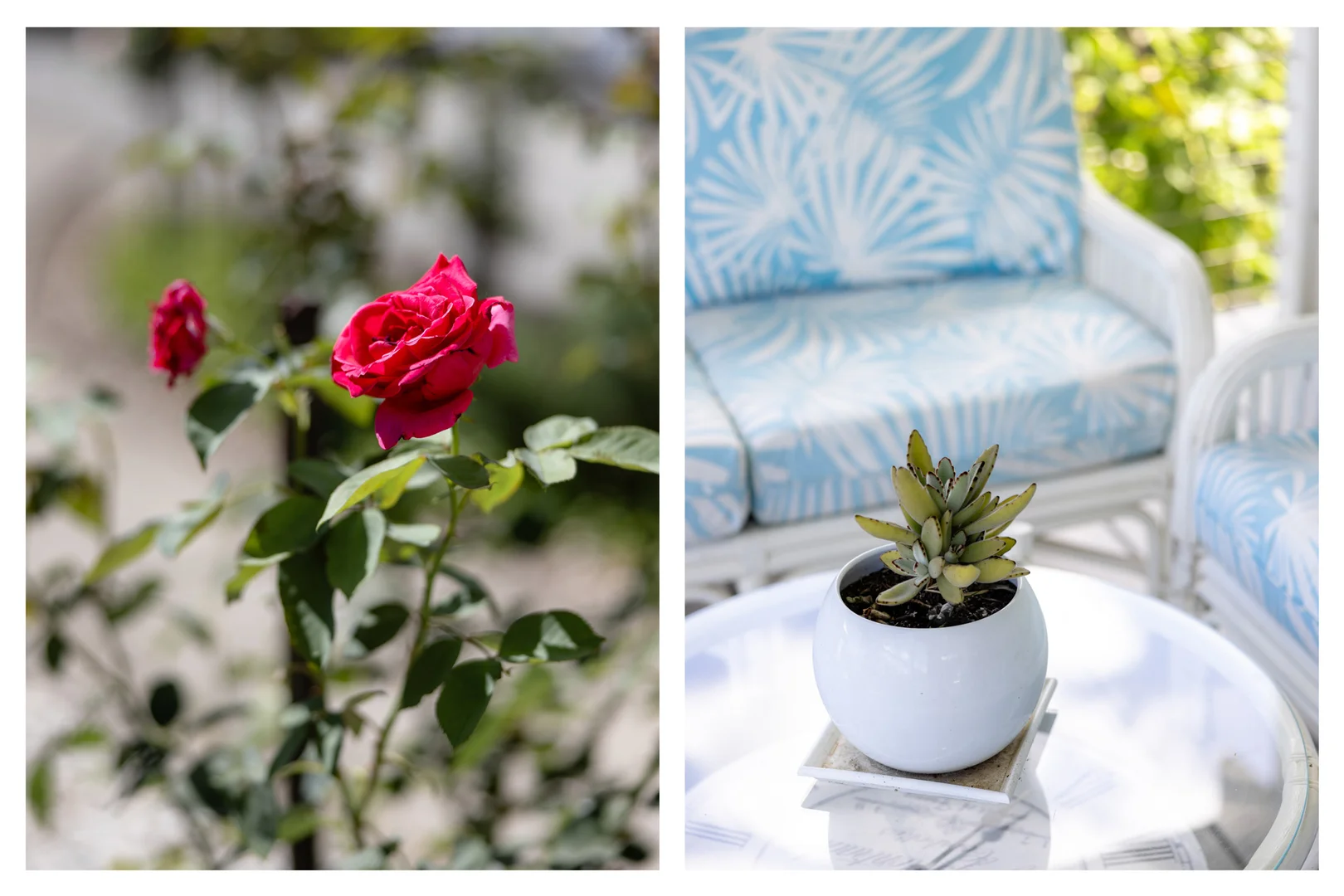 Additional image 7 of 14 Riverlinks Court, Taree NSW 2430