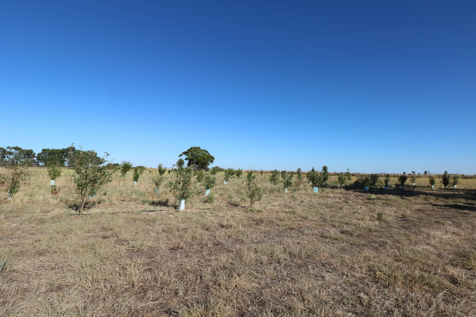 Additional image 18 of 53 Mincha North Road, Mincha VIC 3575