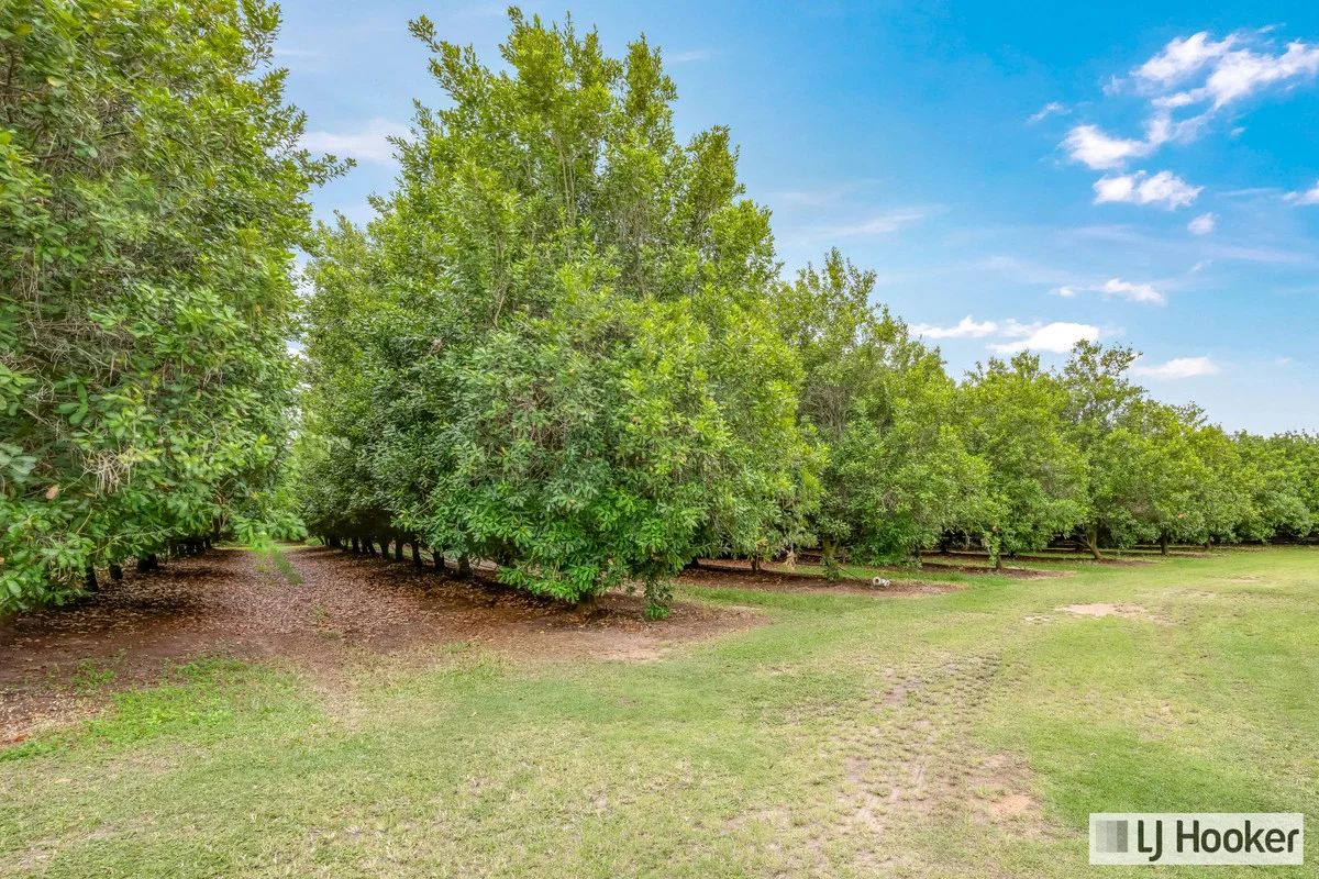 Additional image 18 of 214 Thomasens Road, Alloway QLD 4670