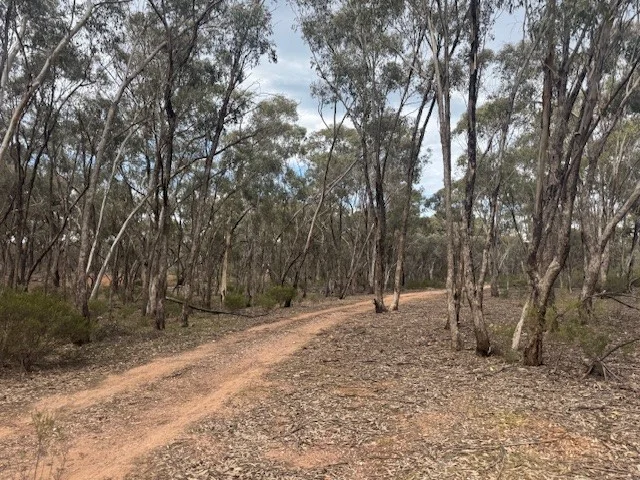 Additional image 10 of 6 Old Boort Road, Wedderburn VIC 3518