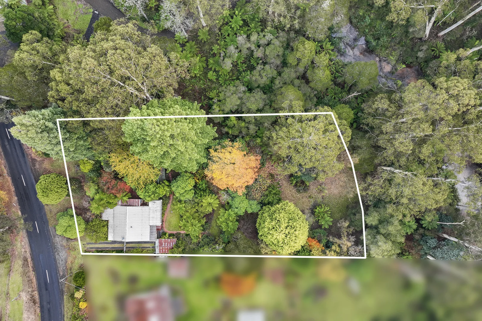 Additional image 21 of 293-295 Mt Baw Baw Tourist Road, Noojee VIC 3833