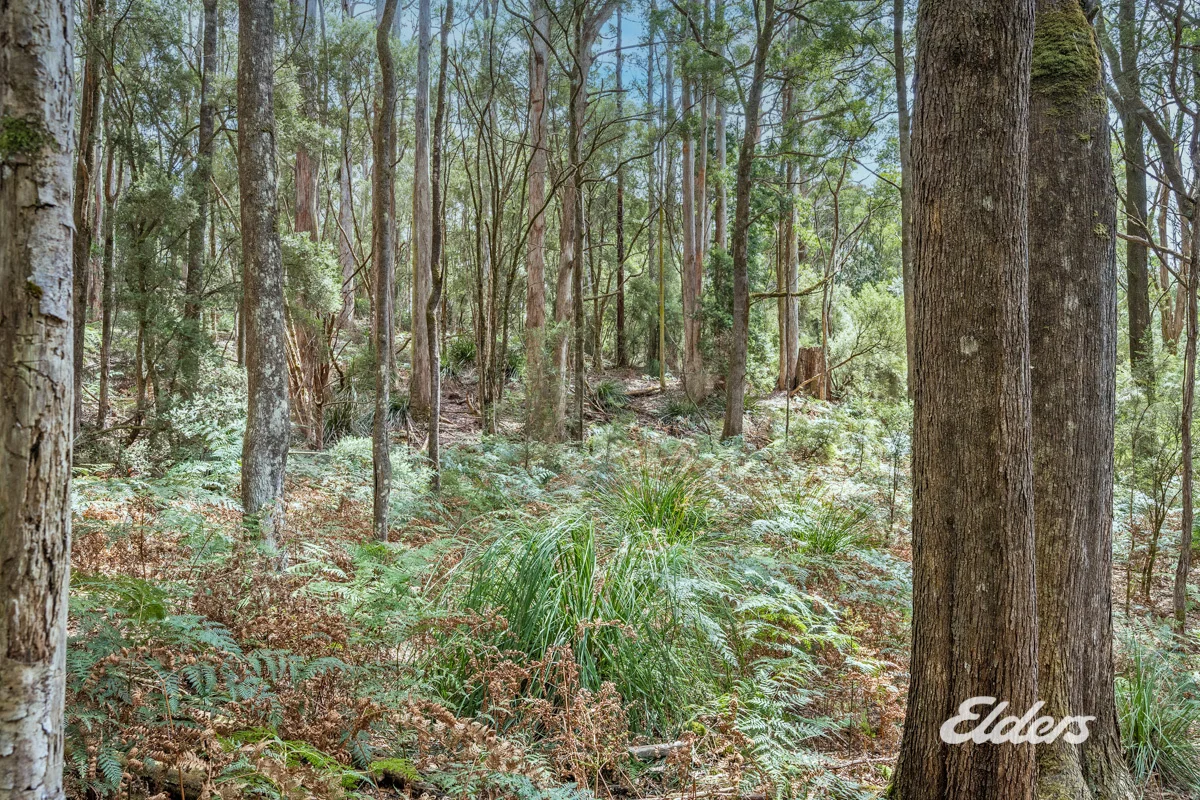 Additional image 14 of Faheys Lane, Irishtown TAS 7330