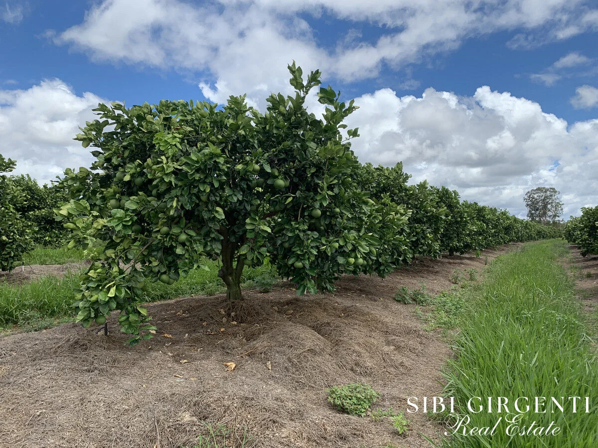 Additional image 14 of 1611 Mareeba-Dimbulah, Arriga QLD 4880