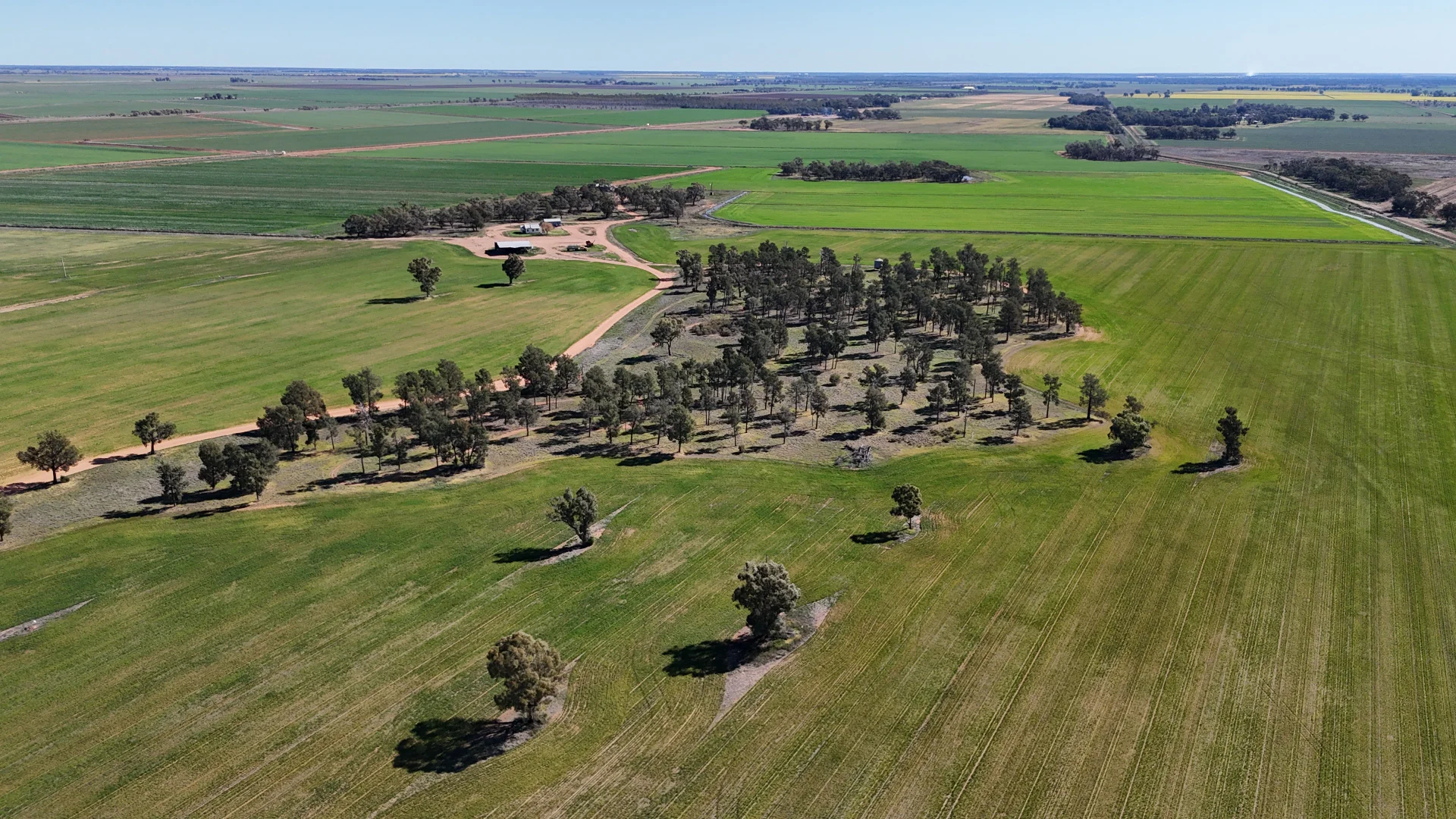 Additional image 10 of Farm 25/1354 Main Canal Road, Coleambally NSW 2707