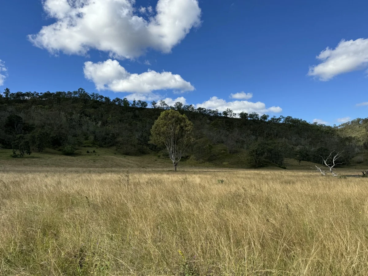 Additional image 10 of 186 Mungungo Creek Road, Monto QLD 4630