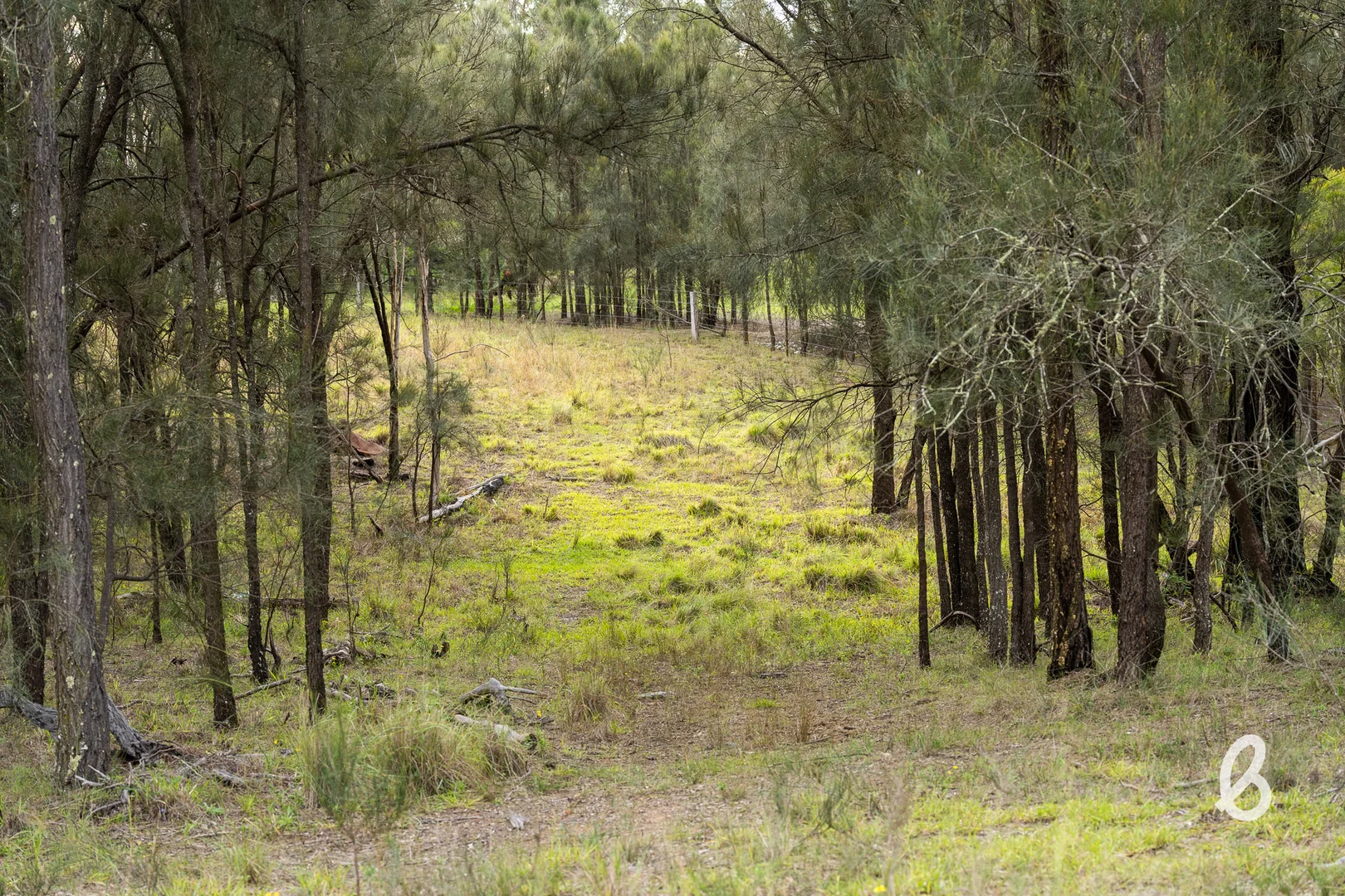 Additional image 14 of 2092 Putty Road, Bulga NSW 2330