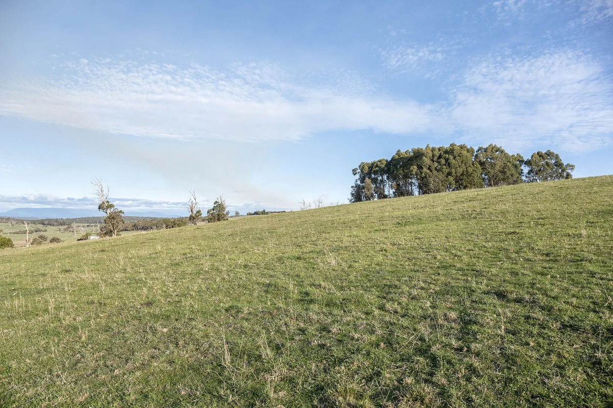 Additional image 19 of 1921 Bridport Road, Bridport TAS 7262
