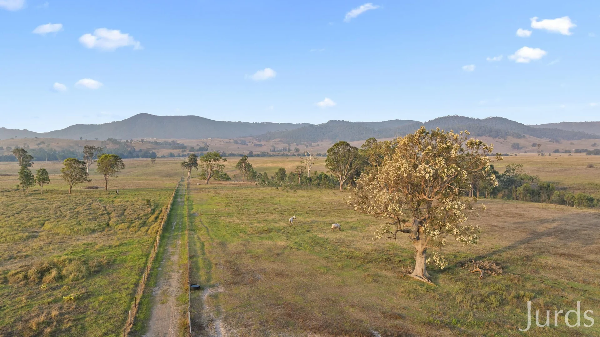 Additional image 17 of 232C Fernhill Road, Dalwood NSW 2335