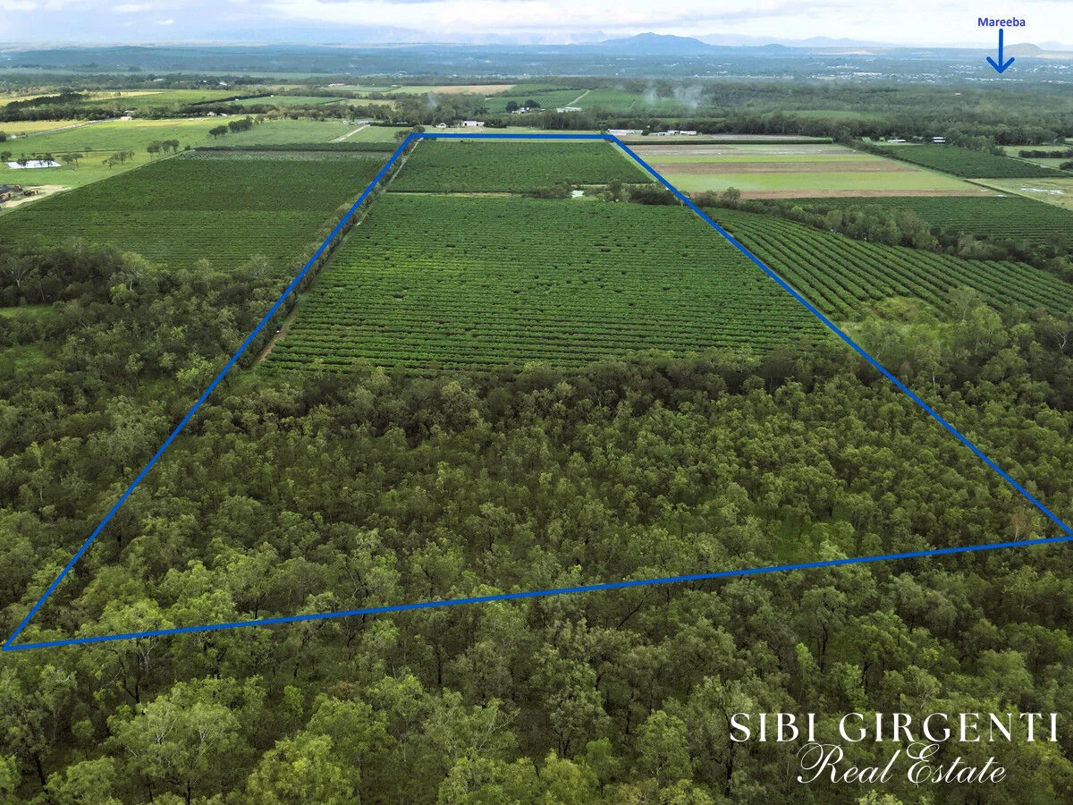 Additional image 3 of 263/71 Gilmore Road, Mareeba QLD 4880