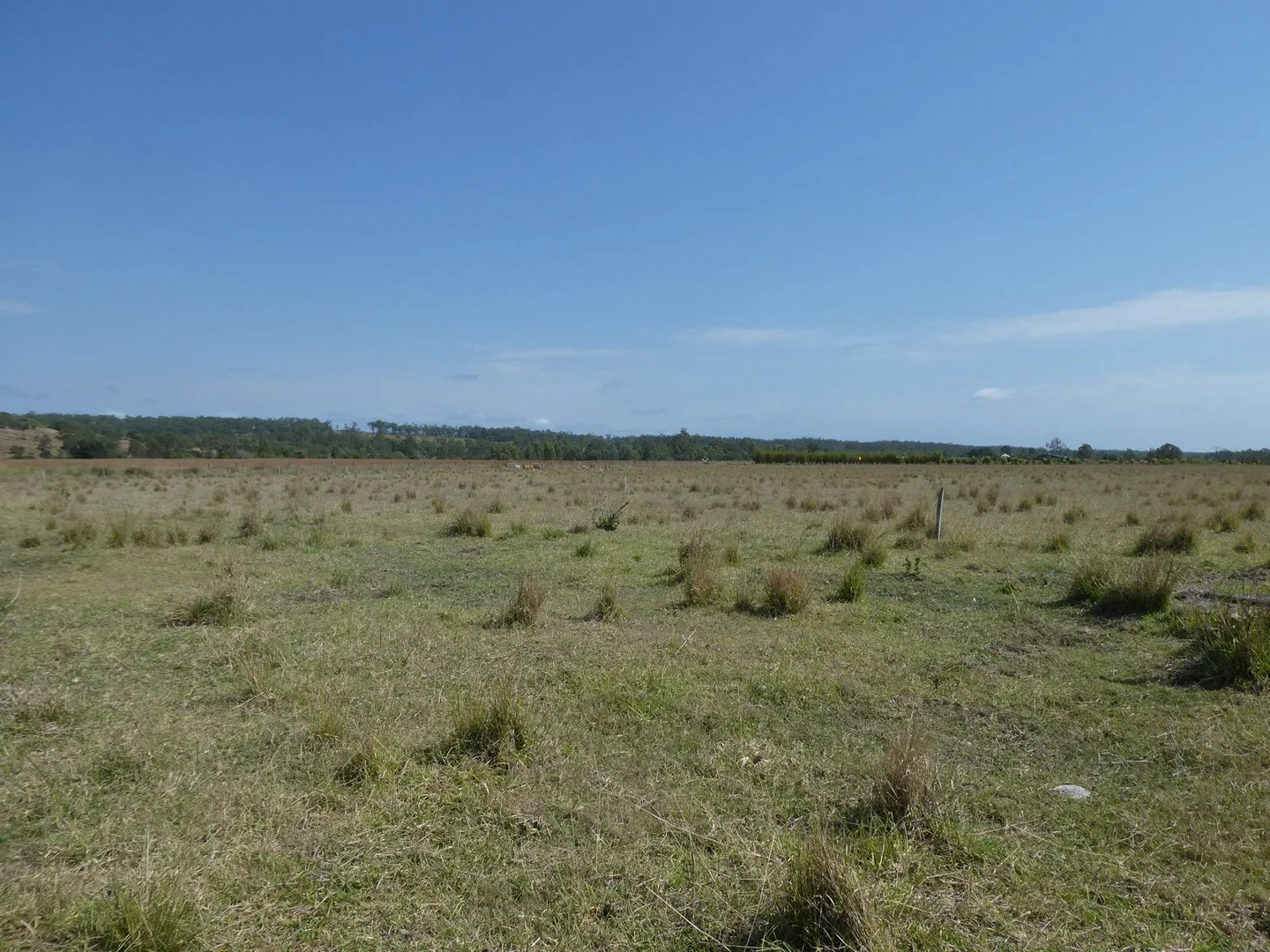 Additional image 16 of 35 Mahoneys Road, Bucca QLD 4670