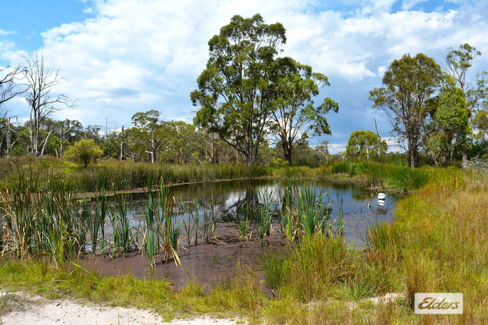 Additional image 36 of 186 McKechnie Road, Ruby Creek NSW 4380