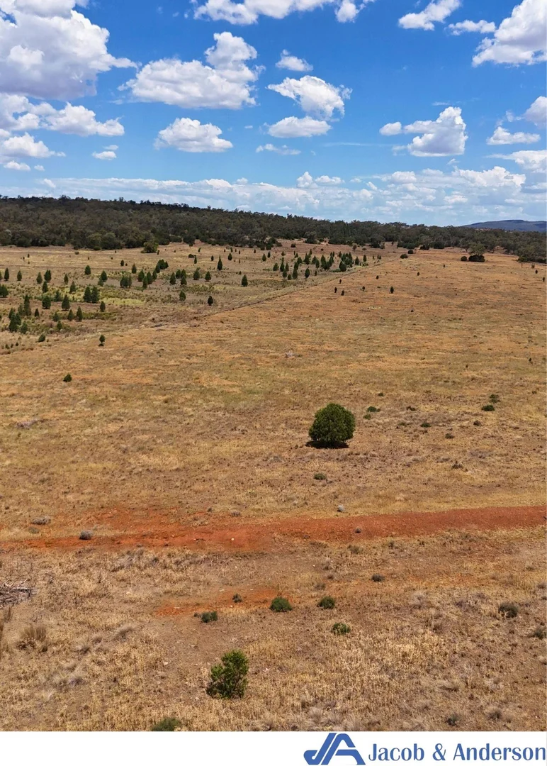 Additional image 18 of 169 Doubleday Road, Gunnedah NSW 2380