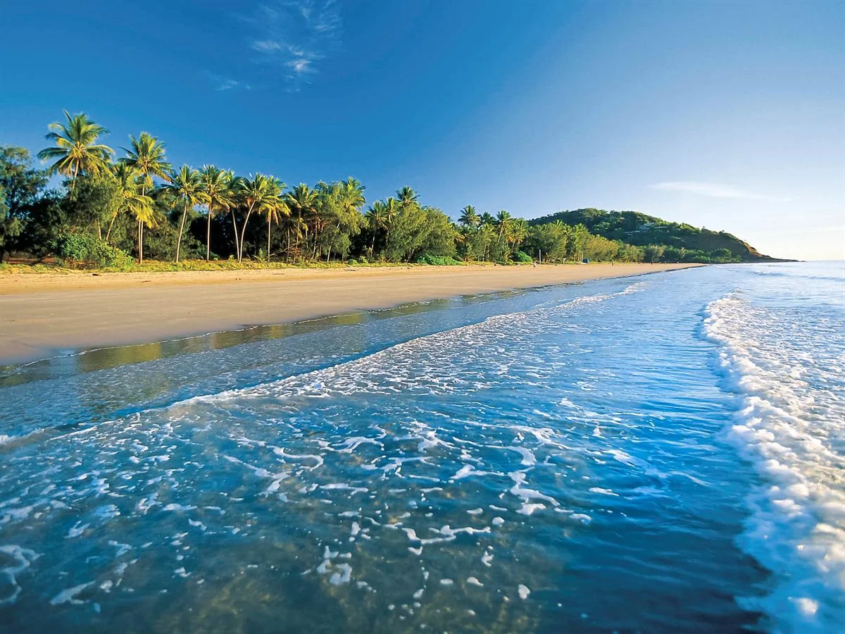 Additional image 36 of 134-135/5 Triton Street, Palm Cove QLD 4879