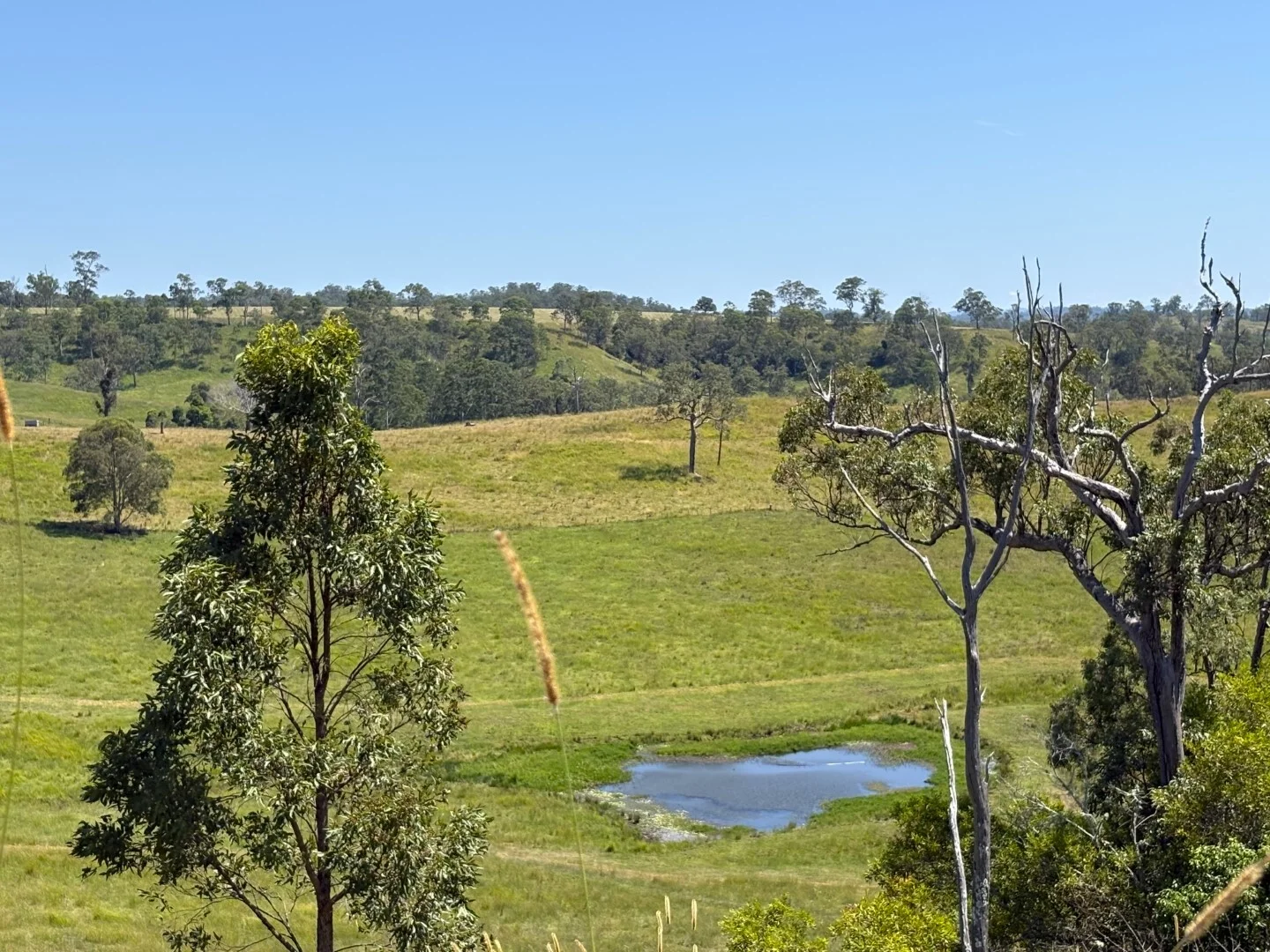 Additional image 20 of 93 Ellems Road, Kyogle NSW 2474